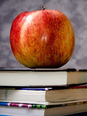 免费手机号轰炸